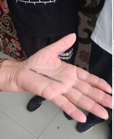 A single Arraiolos needle resting in an open palm
